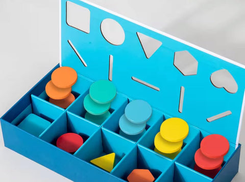 Color Shape Classification Box - EKT3996