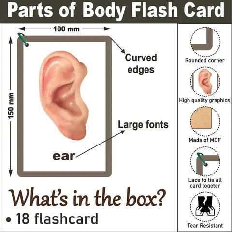 Wooden Flash Cards - Parts Of The Body - EKW0277