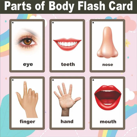 Wooden Flash Cards - Parts Of The Body - EKW0277