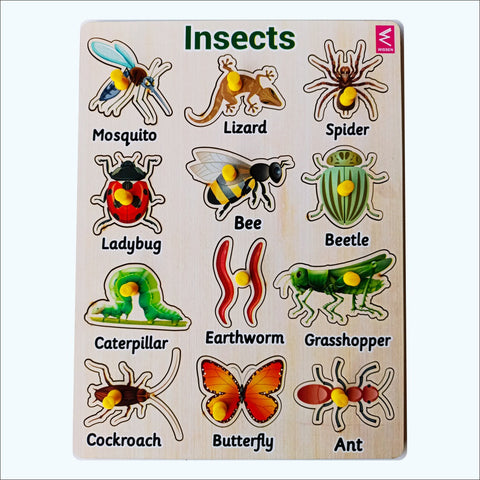 Wooden Insects Peg Board - EKW0280