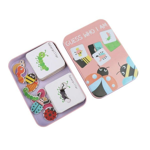 Flash Cards Insects - EKT1958
