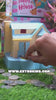 Puppy House Money Bank 1Pc Random Design Will Be Shipped - EKT3273