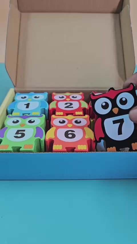 Wooden Balancing Owl Game | Enhance Focus & Coordination for Kids