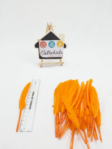 Feathers for activity - Mini - Plain - Orange - 20pc - EKC0691