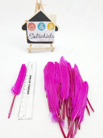 Feathers for activity - Mini - Plain - Dark Pink - 20pc - EKC0686