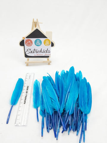 Feathers for activity - Mini - Plain - Skyblue - 20pc - EKC0693