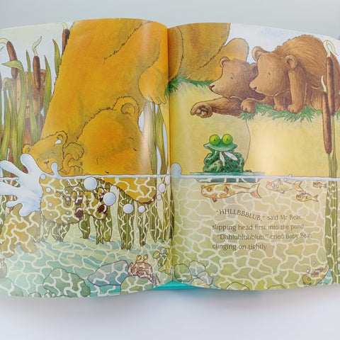 Mr Bears Picnic - BKLT30038