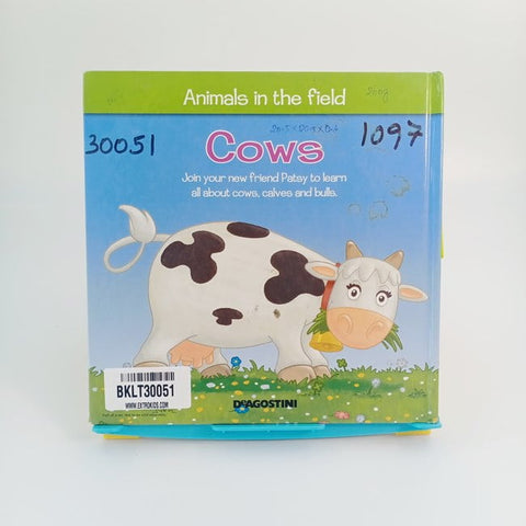 Animals in the field COWS - BKLT30051