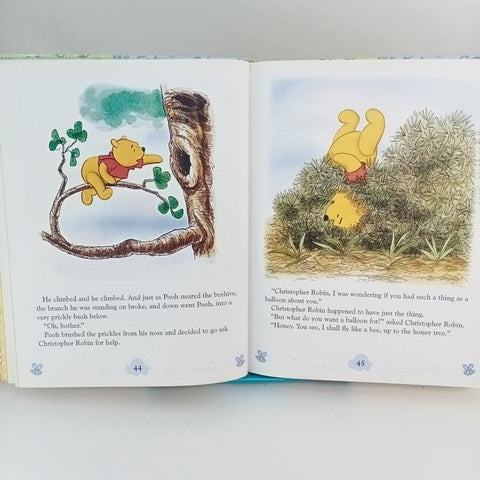 Winnie the pooh  - BKLT30235