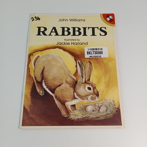 rabbits - BKLT30588