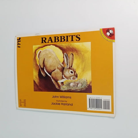 rabbits - BKLT30588