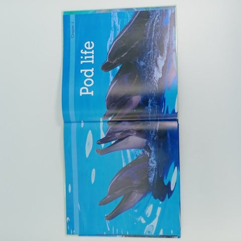 Dolphin - BKLT30674