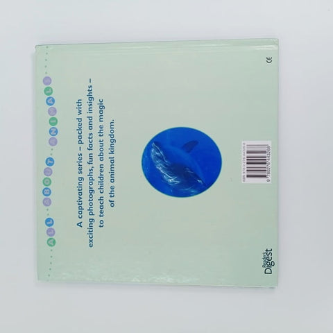Dolphin - BKLT30674