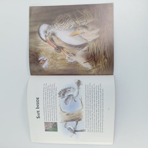 Little wonders animal babies and their families - BKLT30675