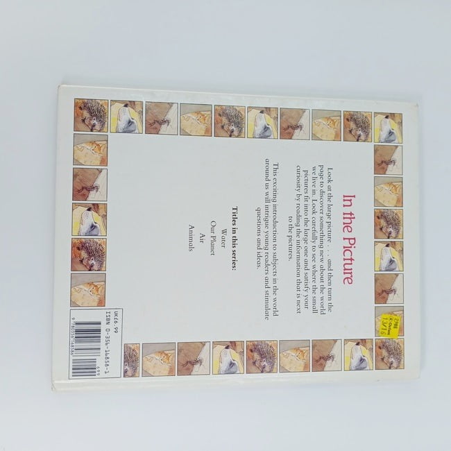 In the Picture animals - BKLT30682