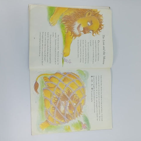 The hare and the tortoise - BKLT30691