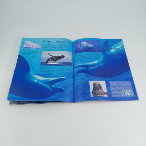 Dolphins and whales - BKLT30715
