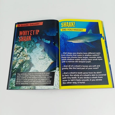 Shark attack - BKLT30717