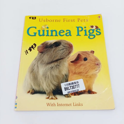 guinea pigs  - BKLT30777