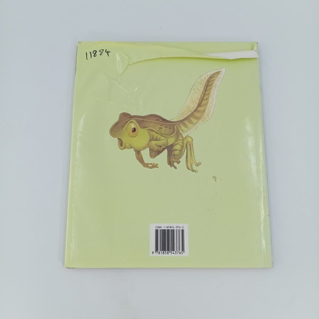 gorfs pond - BKLT30829