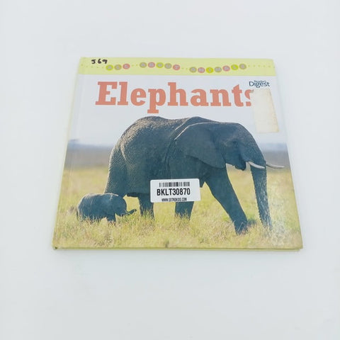 Elephant - BKLT30870