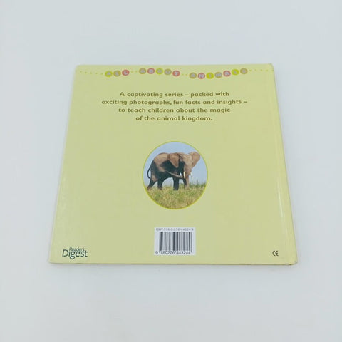 Elephant - BKLT30870