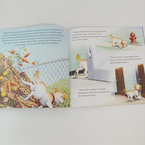 Marley goes to school - BKLT30936
