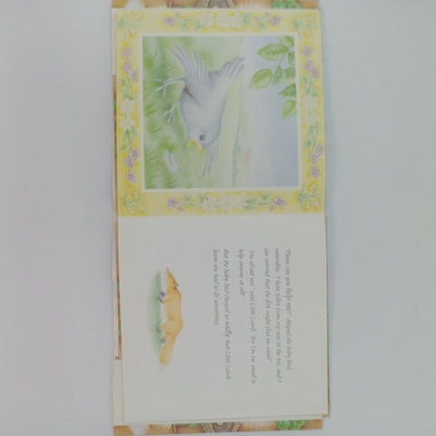 Little Lamb to the rescue - BKLT30994
