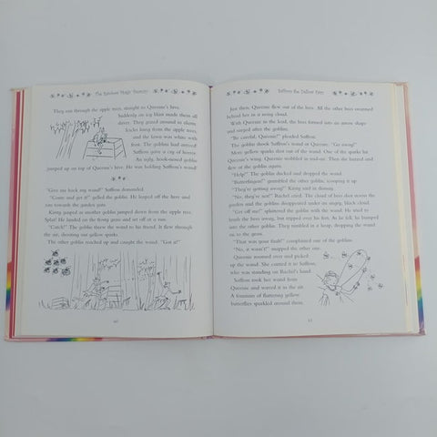 The rainbow magic treasury - BKLT31138