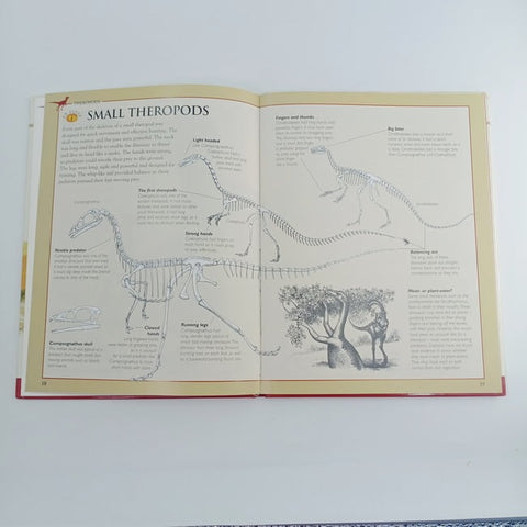 Discovering dinosaurs small amd scary - BKLT31157