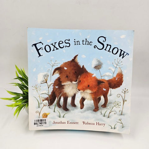 Foxes In The Snow - BKLT40119