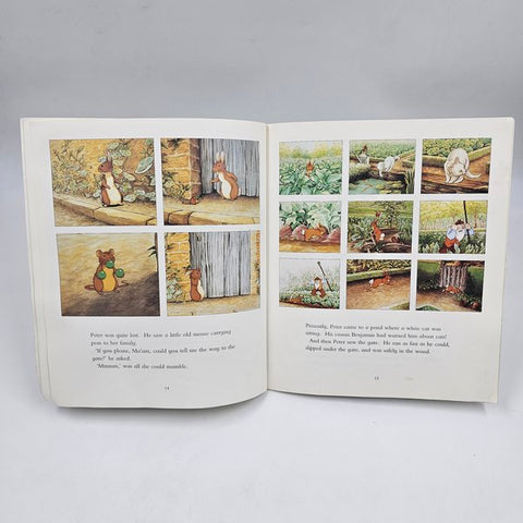 The Tale Of Peeter Rabit An Dbanjamin - BKLT40242
