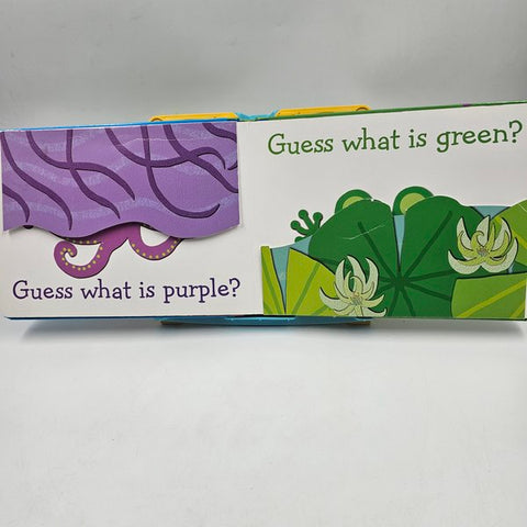 Guess What Color - BKLT40271