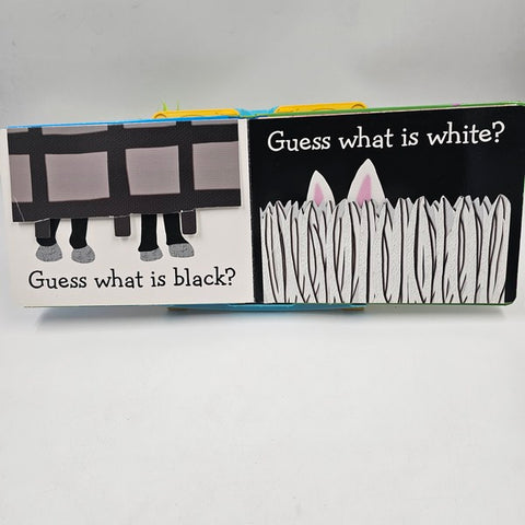 Guess What Color - BKLT40271