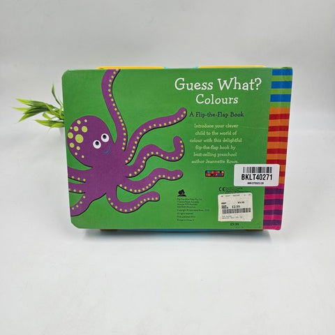 Guess What Color - BKLT40271