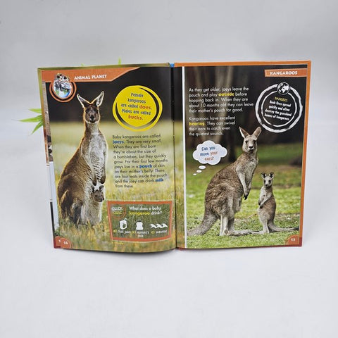 The Junngle Book - BKLT40321