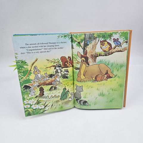 Little Red Riding Hood  - BKLT40323