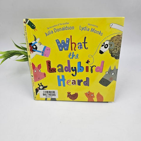 What The Ladybird Heard  - BKLT40345