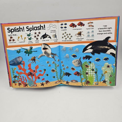 Hide And Seek - BKLT40407