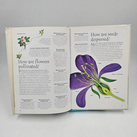 Plants  - BKLT40414