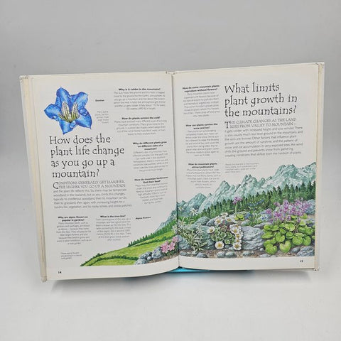 Plants  - BKLT40414