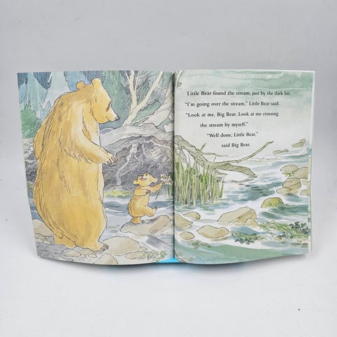 Wall Dane Little Bear - BKLT40486