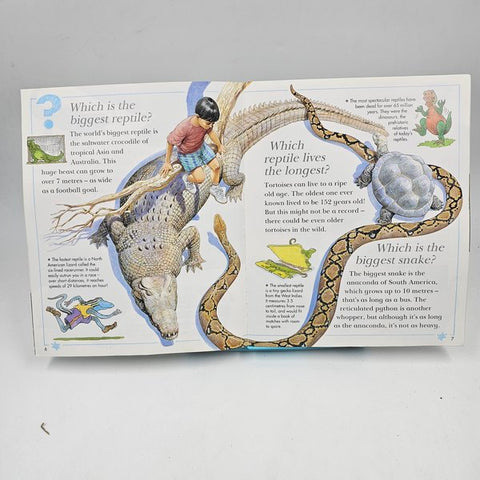 Snakes Shed Their Skin - BKLT40494