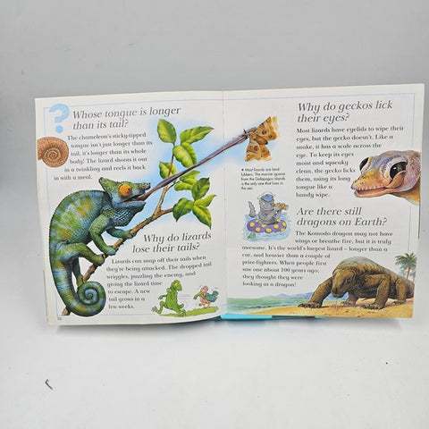 Snakes Shed Their Skin - BKLT40494