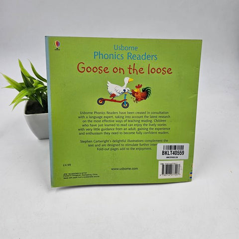 Goose On The Loose - BKLT40559
