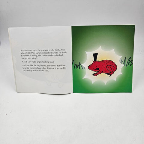 Little Miss Sun Shine - BKLT40592