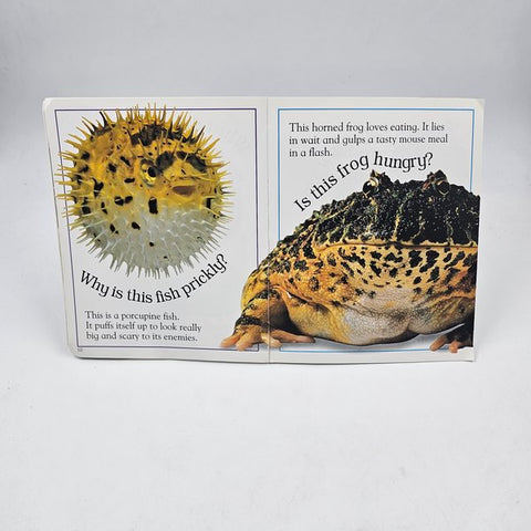 Funny Faces - BKLT40674