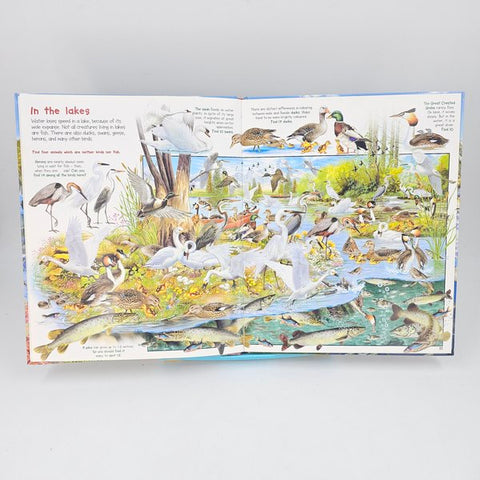 Under The Sea - BKLT40874