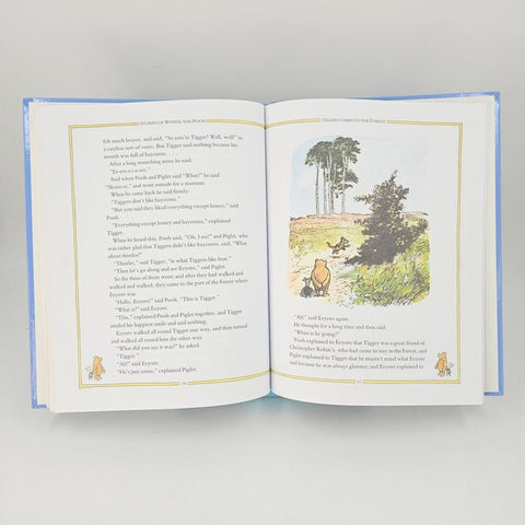 Winnie The Pooh - BKLT40882