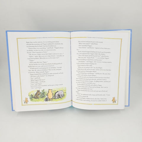 Winnie The Pooh - BKLT40882